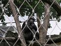 Berlijn 2009 ZOO169